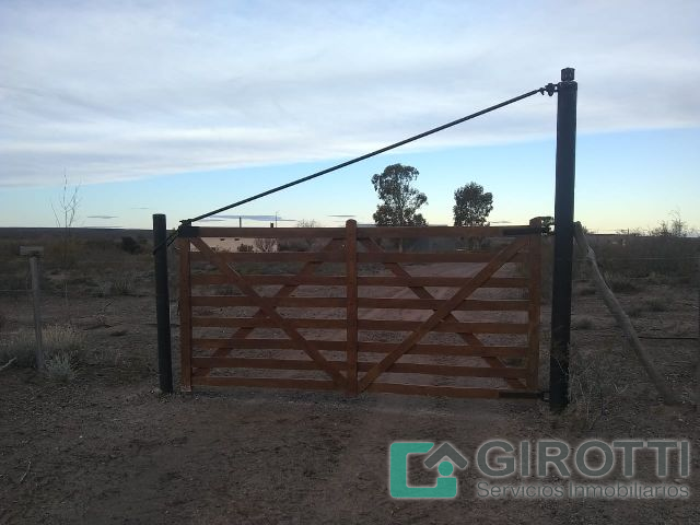 Imagen1