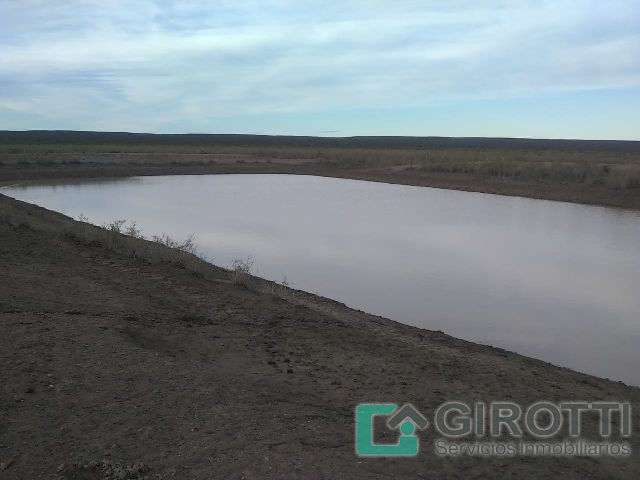 Imagen4