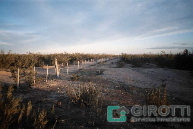 Imagen6