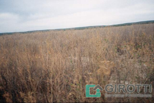 Imagen8