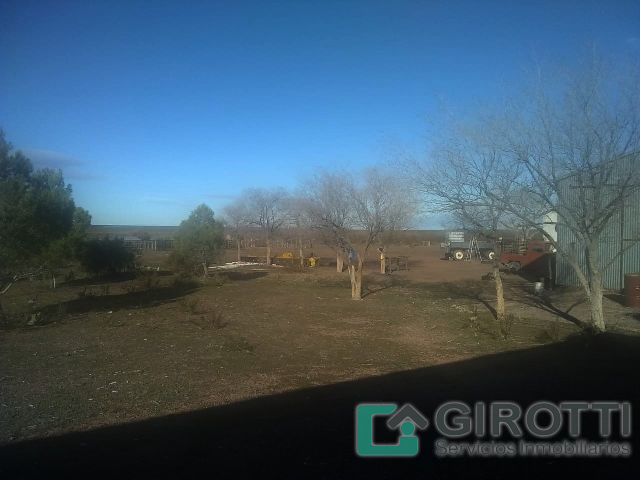 Imagen12