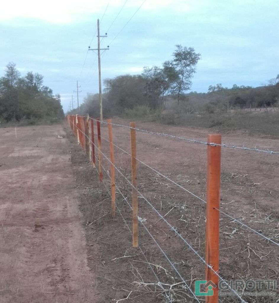 Imagen9