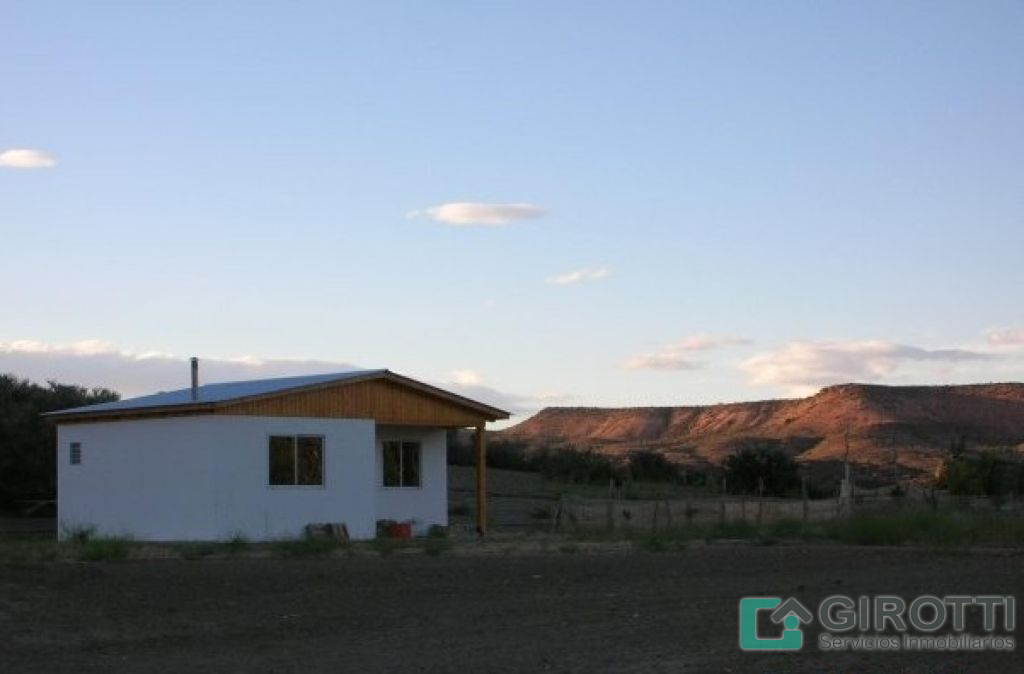 Imagen4