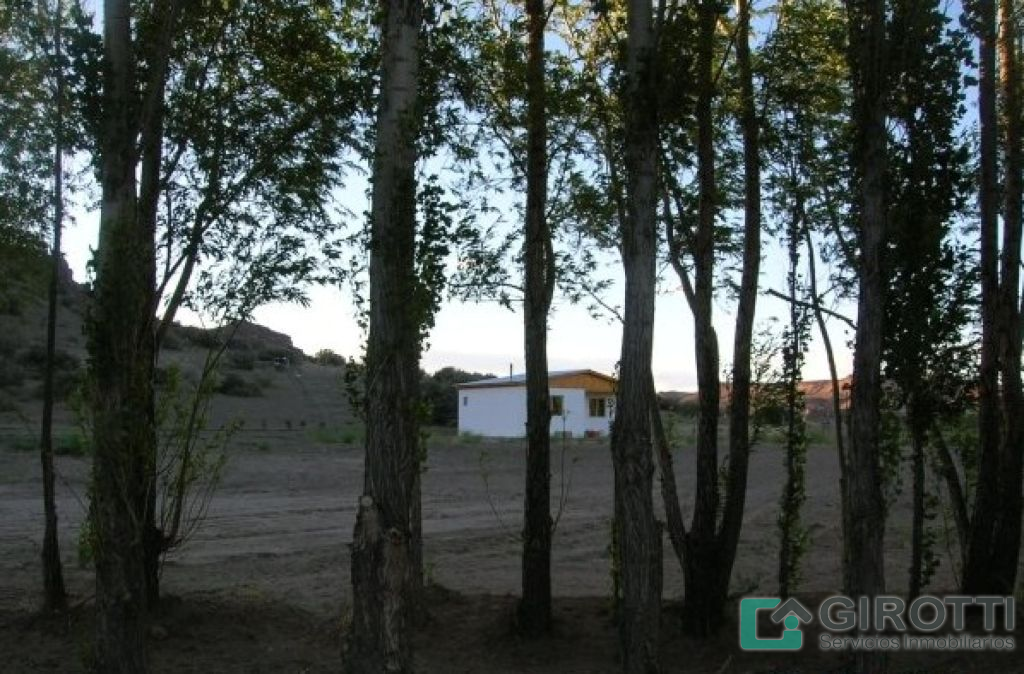 Imagen6