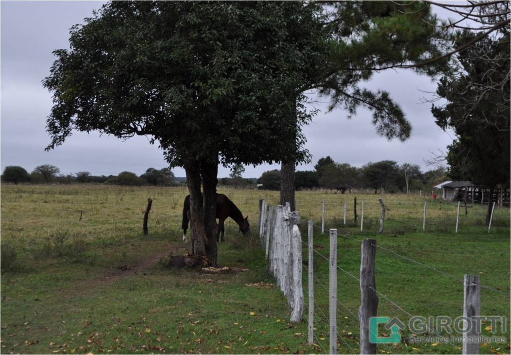 Imagen9