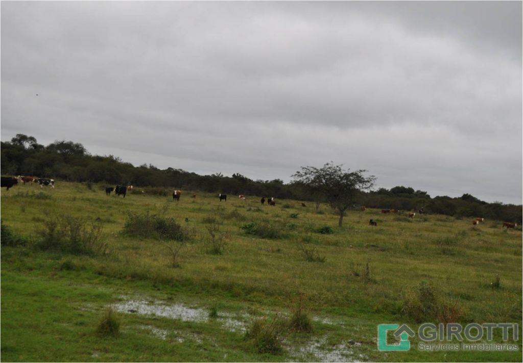 Imagen13