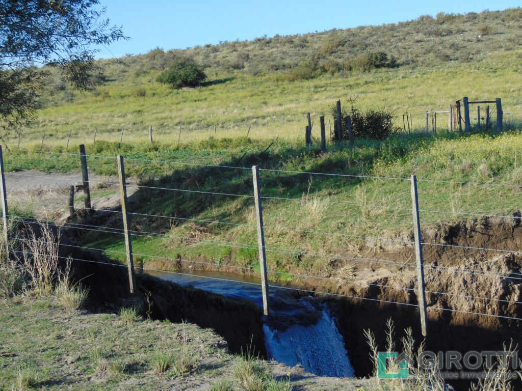 Imagen2