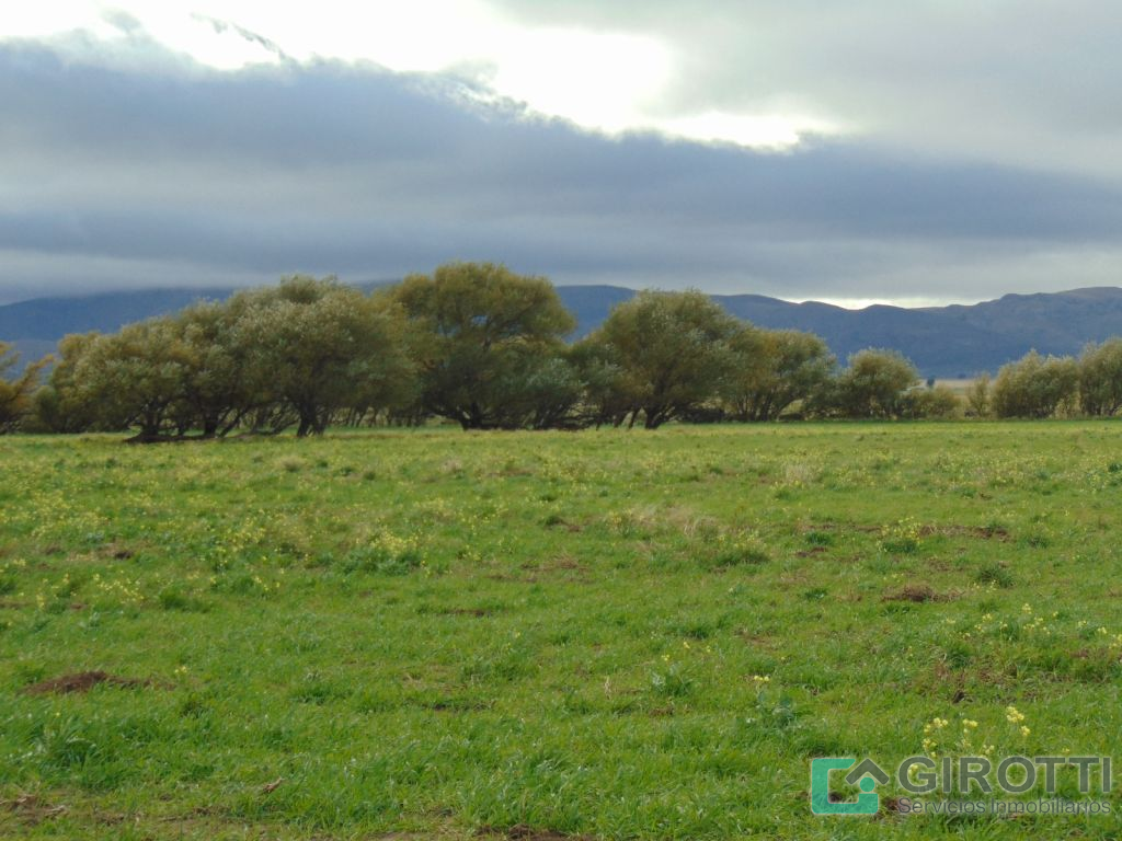 Imagen13