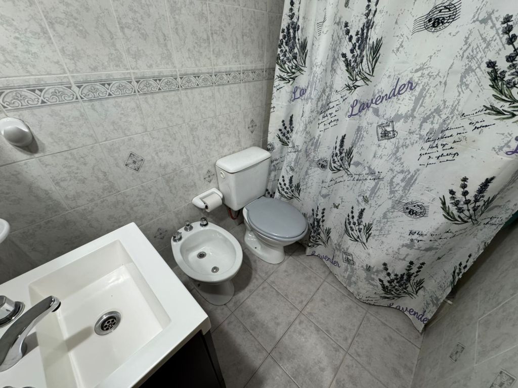 Imagen11