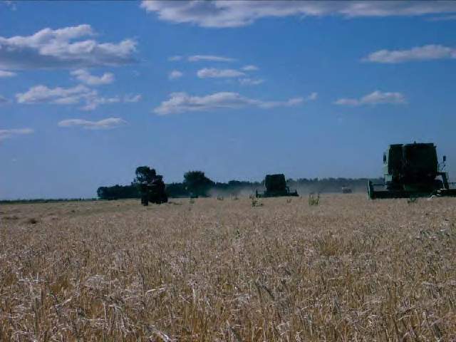 2.300 HA LA MEJOR ESTANCIA CORONEL DORREGO BUENOS AIRES