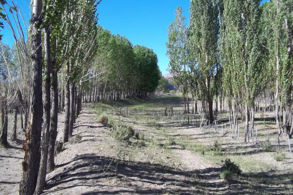 Imagen5